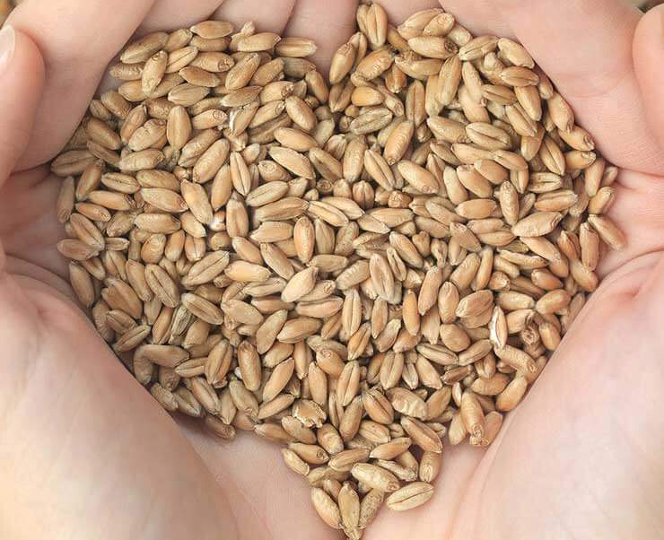 خوراکی معرکه برای کاهش وزن