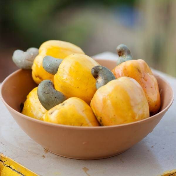 خواص شگفتانگیز بادام هندی برای سلامتی